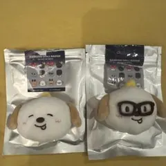 RIIZE アントン モンリョンイ 3周年 ペンミ 韓国 バッジ - メルカリ