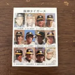 2026年最新】田淵幸一選手の人気アイテム - メルカリ