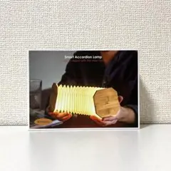 GINGKO (ギンコー) アコーディオンランプ 北欧/インテリア