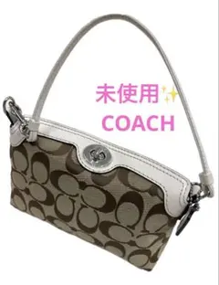 COACH コーチ スエード ハート刺繍 アクセサリーポーチ ベージュ 6732