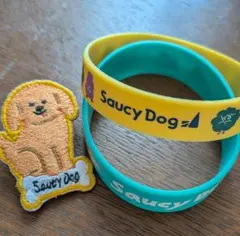 2026年最新】Saucy Dog ピンバッジの人気アイテム - メルカリ