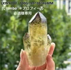 天然石　スモーキーシトリンパイナップルクォーツ　金運　JXWY101
