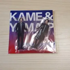 【新品・未開封】 亀と山P SI アクリルスタンド