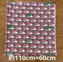 未使用　生地　約110cm×60cm ハリネズミ柄