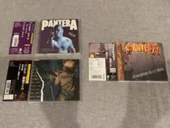 国内盤　PANTERA/パンテラ　ミニアルバムCD 3枚セット