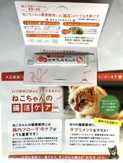 Item thumbnail for item 2dfbb837-9442-461b-85bf-f3b09d3c0ad4