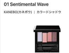 KANEBO カラードシャドウ 01 Sentimental Wave