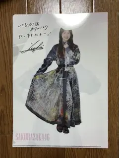 Item thumbnail for item 0f900bfb-a6b2-4614-9cad-cb8776de736c