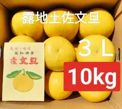 R*i様 高知産　約１０ｋｇ　大玉　土佐文旦　３Ｌ　家庭用　北海道沖縄発送不可 高知産 約10kg 大玉 土佐文旦 3L 家庭用 北海道沖縄発送不可
