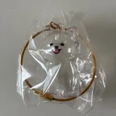 WANKONO Time Capsule ラテ カプセルトイ