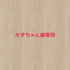 【︎︎︎︎かずちゃん様専用オーダー分】ぬい服おすわ 着ぐるみ 11cmちびぐるみ