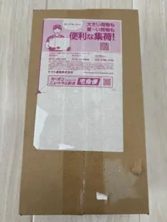 【完全未開封】ポケモンセンターヒロシマスペシャルボックスシュリンク付きBOX1個