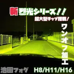 池田フォグ 裏裂光シリーズ ハロゲンカラーフォグランプ H8/H11/H16