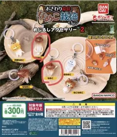 なめこ栽培キット 2 めじるしアクセサリー 2個セット