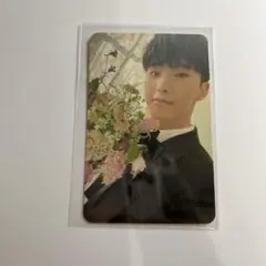 seventeen ホシ FML Carat盤 トレカ