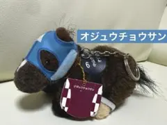 2026年最新】オジュウチョウサン メモリアルの人気アイテム - メルカリ