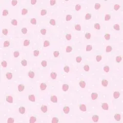 coco様 専用ページ No.16 （ 計測用チップが届き次第 ）