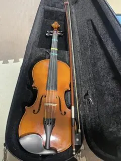 Item thumbnail for item 18ec40d3-5c3e-4005-8a48-b6cfb69e826a