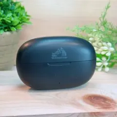 JVC KENWOOD HA-A2T ケースのみのサムネイル