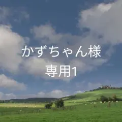 かずちゃん様専用1