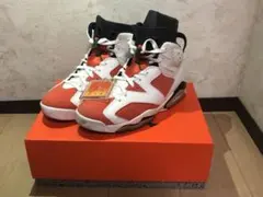 ナイキ エアジョーダン6 レトロ ゲータレード ライク マイク ホワイト