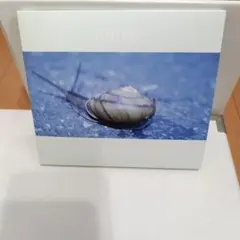 yonige　 かたつむりになりたい