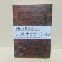 〈魂の目的〉ソウルナビゲーション あなたは何をするために生まれてきたのか