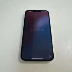iPhone13Pro max あがゆい様専用