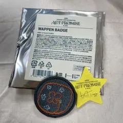 TXT PROMISE ヒュニンカイ　ワッペンバッジ