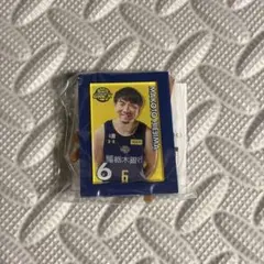 宇都宮ブレックス 比江島慎 選手ミニチュアアートイーゼル