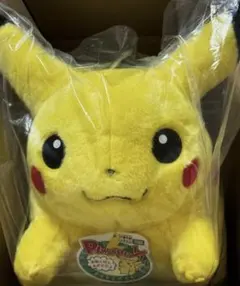 ポケモン30周年記念 おかえり！ ピカチュウ　ぬいぐるみ　1/1