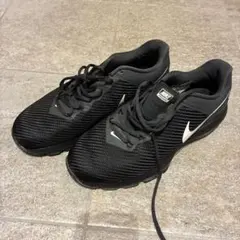 Nike AIR MAX エア マックスサイズ10(US) 28？
