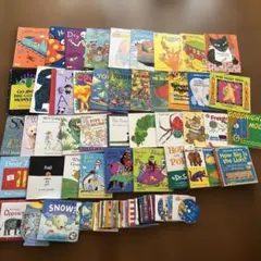 Storytellerストーリーテラー多読絵本96冊 英語パルキッズ☆しちだ七田