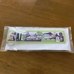 新品・未使用品】JAL グローバルクラブ 亀タグ 四つ星 ネームタグ 赤