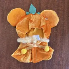 ディズニー　ユニベア　シークレットポンチョ　シークレットコスチューム オレンジ