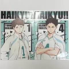 ハイキュー 公式ネップリ