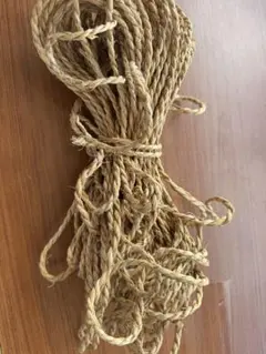 Item thumbnail for item 8af7dca9-a955-4def-a992-12beacc95770