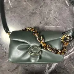 最終値下げ美品✨COACHコーチ ピロー タビー ショルダーバッグ グリーン