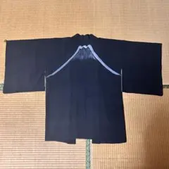 Item thumbnail for item 31f5f0b0-9b67-4d89-83af-40ad2555663d