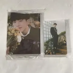 Fml carat盤　HOSHI seventeen