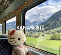 KANA様專用