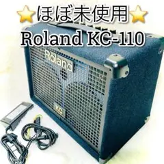 2025年最新】ROLAND KC-110の人気アイテム - メルカリ