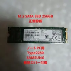 SAMSUNG M.2 SATA SSD 256GB Type2280 正常診断