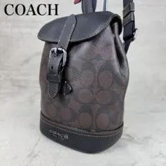★極美品★ COACH PVC クロスボディバッグ ハドソン シグネチャー