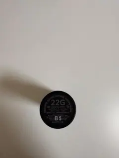 DECORTE ルージュデコルテ 22G