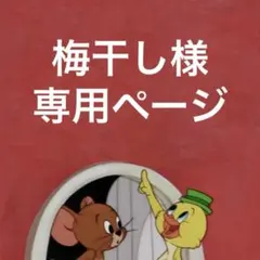 梅干し様専用ページ