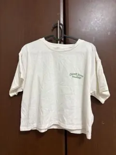 バッグ花刺繍 短いTシャツのサムネイル