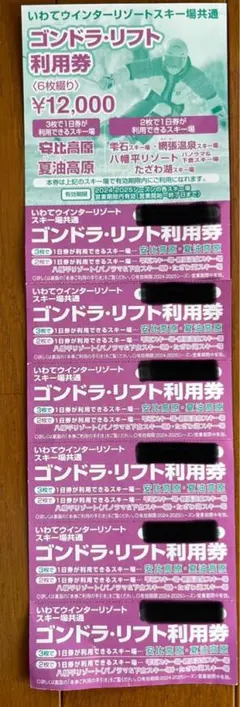 シマウマ　たざわ湖スキー場　リフト1日券　半額割引券6枚セット シマウマ様 専用 たざわ湖スキー場 リフト1日券 半額割引券6