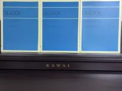 Item thumbnail for item 11aea95b-e4df-4603-96ba-b05d7b37fc18