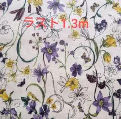 Item thumbnail for item 7f8eb0e9-6a12-45a4-a573-7c60fe3902ba